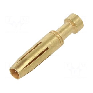 Contact | female | gold-plated | 1.5mm2 | EPIC H-BE 2.5 | crimped