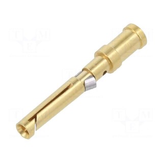 Contact | female | gold-plated | 1.5mm2 | EPIC H-D 1.6 | bulk | crimped