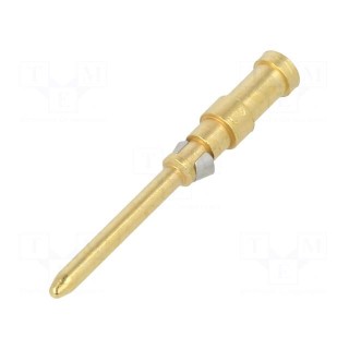 Contact | male | gold-plated | 0.14÷0.37mm2 | EPIC H-D 1.6 | bulk