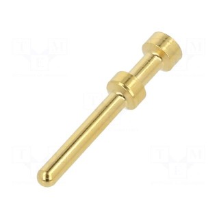 Contact | male | gold-plated | 0.5mm2 | EPIC H-BE 2.5 | crimped