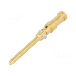 Contact | male | gold-plated | 0.75÷1mm2 | EPIC H-D 1.6 | bulk | crimped