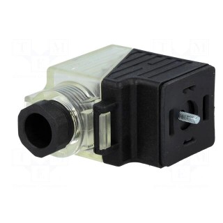 Connector: valve connector | plug | form A | 18mm | female | PIN: 3 | 24V