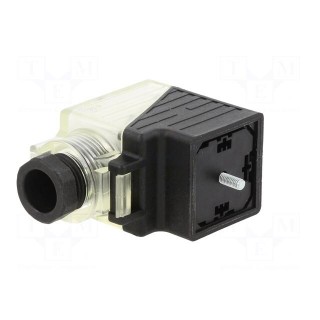 Connector: valve connector | plug | form A | 18mm | female | PIN: 3 | 2+PE