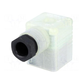 Connector: valve connector | plug | form A | 18mm | female | PIN: 3 | M16