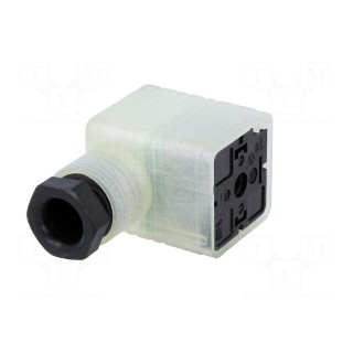 Connector: valve connector | plug | form A | 18mm | female | PIN: 3 | M16