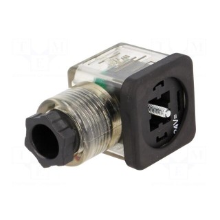 Connector: valve connector | plug | form A | 18mm | female | PIN: 3 | mPm