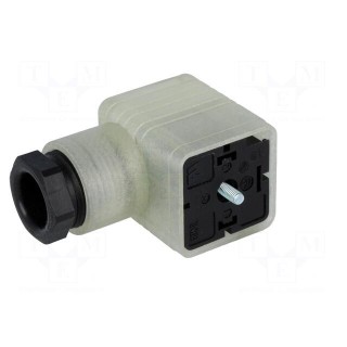 Connector: valve connector | plug | form A | 18mm | female | PIN: 3 | PG11