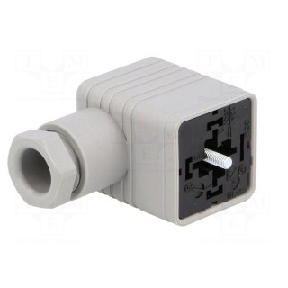 Connector: valve connector | plug | form A | 18mm | female | PIN: 3 | PG9