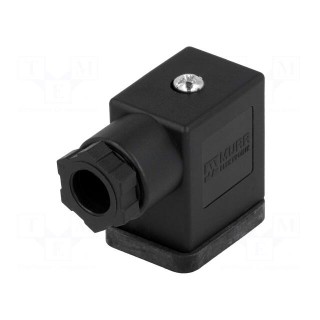 Connector: valve connector | plug | form B | 10mm | female | PIN: 3 | 230V