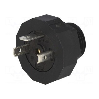Connector: valve connector | socket | form A | 18mm | male | PIN: 3 | 16A