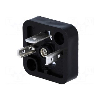 Connector: valve connector | socket | form A | 18mm | male | PIN: 3 | 1mm2