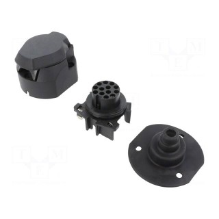 Connector: automotive | socket | for panel mounting | PIN: 13 | 12VDC