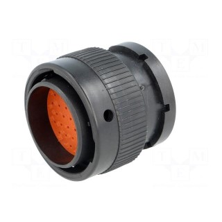 Connector: automotive | XRC | plug | male | PIN: 31 | for cable | straight