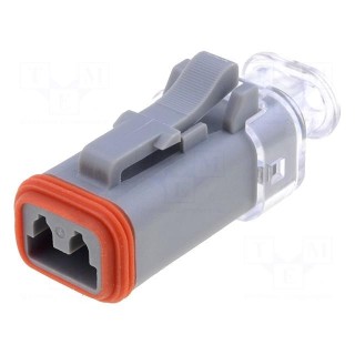 Connector: wire-wire | AT | plug | female | PIN: 2 | IP67 | Locking: latch