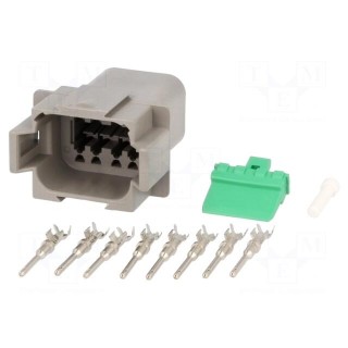 Connector: wire-wire | DT | male | plug | for cable | PIN: 8 | crimped