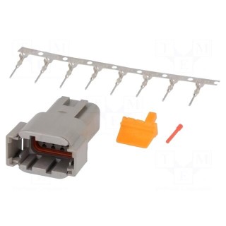 Connector: wire-wire | DTM | male | plug | for cable | PIN: 8 | crimped