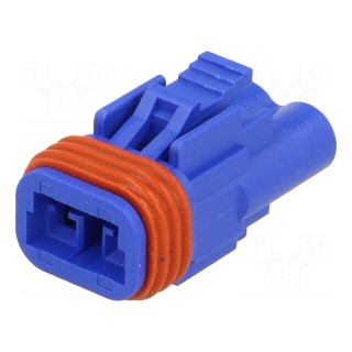 Connector: wire-wire/PCB | 570,E-Seal | plug | female | PIN: 2 | IP67