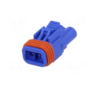 Connector: wire-wire/PCB | 570,E-Seal | plug | female | PIN: 2 | IP67