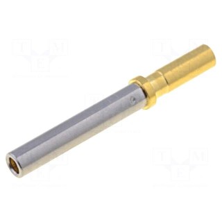 Contact | Size: 20 | female | 0.34÷0.5mm2 | ATM | gold flash | crimped