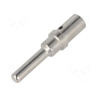 Contact | Size: 12 | male | 2÷3mm2 | nickel plated | crimped | bulk