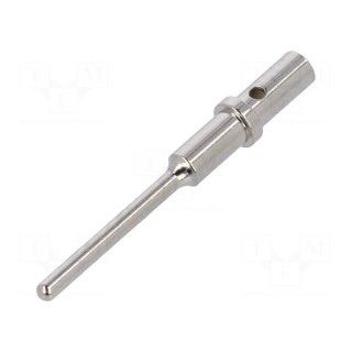 Contact | Size: 20 | male | 0.34÷0.5mm2 | ATM | nickel plated | crimped