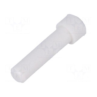 Accessories: sealing pin | DT,DTP | male/female | Size: 12,16