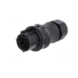 Plug | Connector: circular | female | PIN: 3 | silver plated | 20A | 250V