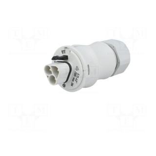Plug | Connector: circular | male | PIN: 3 | silver plated | 20A | 250V