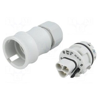 Plug | Connector: circular | male | PIN: 3 | silver plated | 20A | 250V