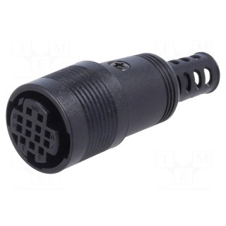 Connector: circular | plug | RP13 | female | PIN: 13 | w/o contacts | 100V