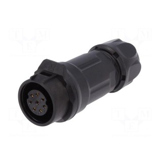 Connector: circular | plug | size 16 | 02 | female | PIN: 8 | for latch