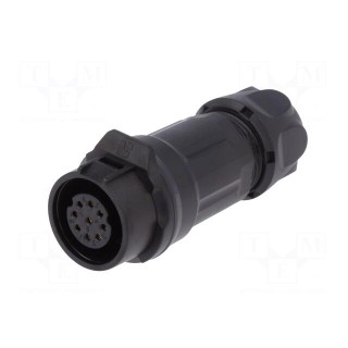 Plug | Connector: circular | size 16 | 02 | female | PIN: 9 | for latch