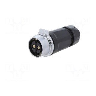 Connector: circular | plug | size 28 | 02 | female | PIN: 2 | for latch