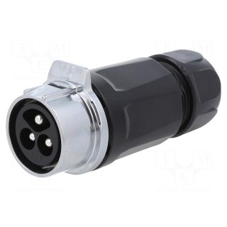 Connector: circular | plug | size 28 | 02 | male | PIN: 3 | for latch | 43A