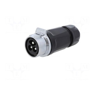 Connector: circular | plug | size 28 | 02 | male | PIN: 3 | for latch | 43A