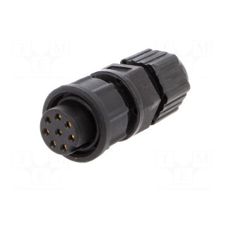 Plug | Connector: circular | size B | female | PIN: 8 | w/o contacts