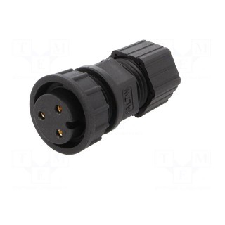 Connector: circular | plug | size D | female | PIN: 3 | gold-plated | 20A