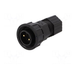 Plug | Connector: circular | size D | male | PIN: 2 | gold-plated | 20A