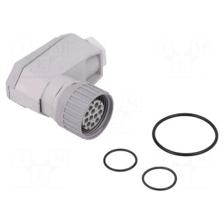 Connector: DIN 43651 | plug | NR | female | PIN: 12 | w/o contacts | 5A