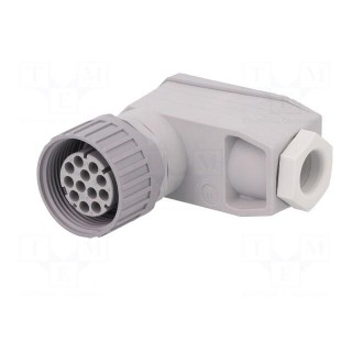 Connector: DIN 43651 | plug | NR | female | PIN: 12 | w/o contacts | 5A