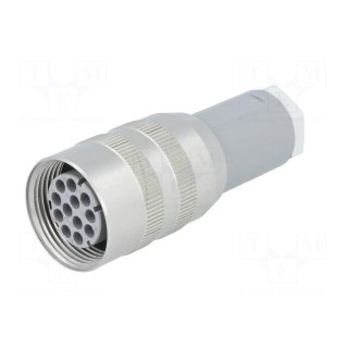 Plug | Connector: DIN 43651 | NR | female | PIN: 12 | w/o contacts | 5A