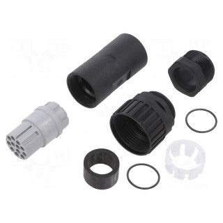 Plug | Connector: DIN 43651 | NR | female | PIN: 12 | w/o contacts | 5A