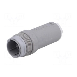 Connector: DIN 43651 | plug | NR | male | PIN: 7 | w/o contacts | 10A | IP65