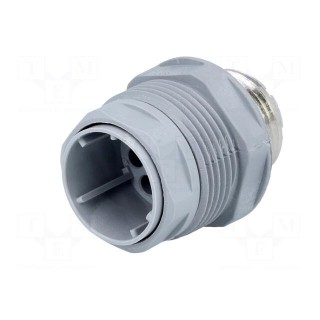 Connector: DIN 43651 | socket | NR | male | PIN: 12 | w/o contacts | 5A