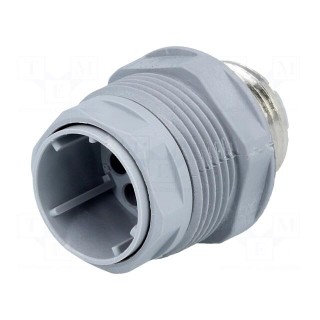 Connector: DIN 43651 | socket | NR | male | PIN: 12 | w/o contacts | 5A