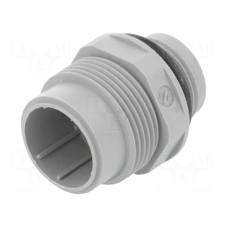 Connector: DIN 43651 | socket | NR | male | PIN: 7 | w/o contacts | 10A