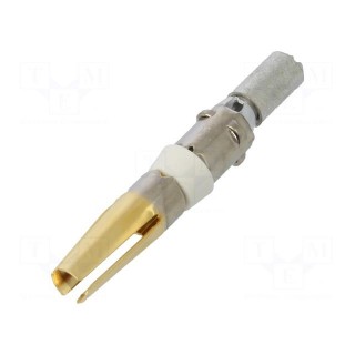 Contact | female | 16AWG÷14AWG | HR41 | gold-plated | crimped | 20A