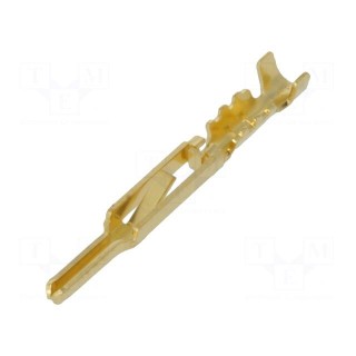 Contact | male | gold-plated | 28AWG÷24AWG | crimped