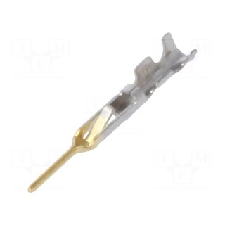 Contact | male | gold-plated | 30AWG | HR25 | crimped | for cable | 1A