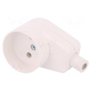 Connector: AC supply | female | socket | 2P | 250VAC | 16A | Type: round